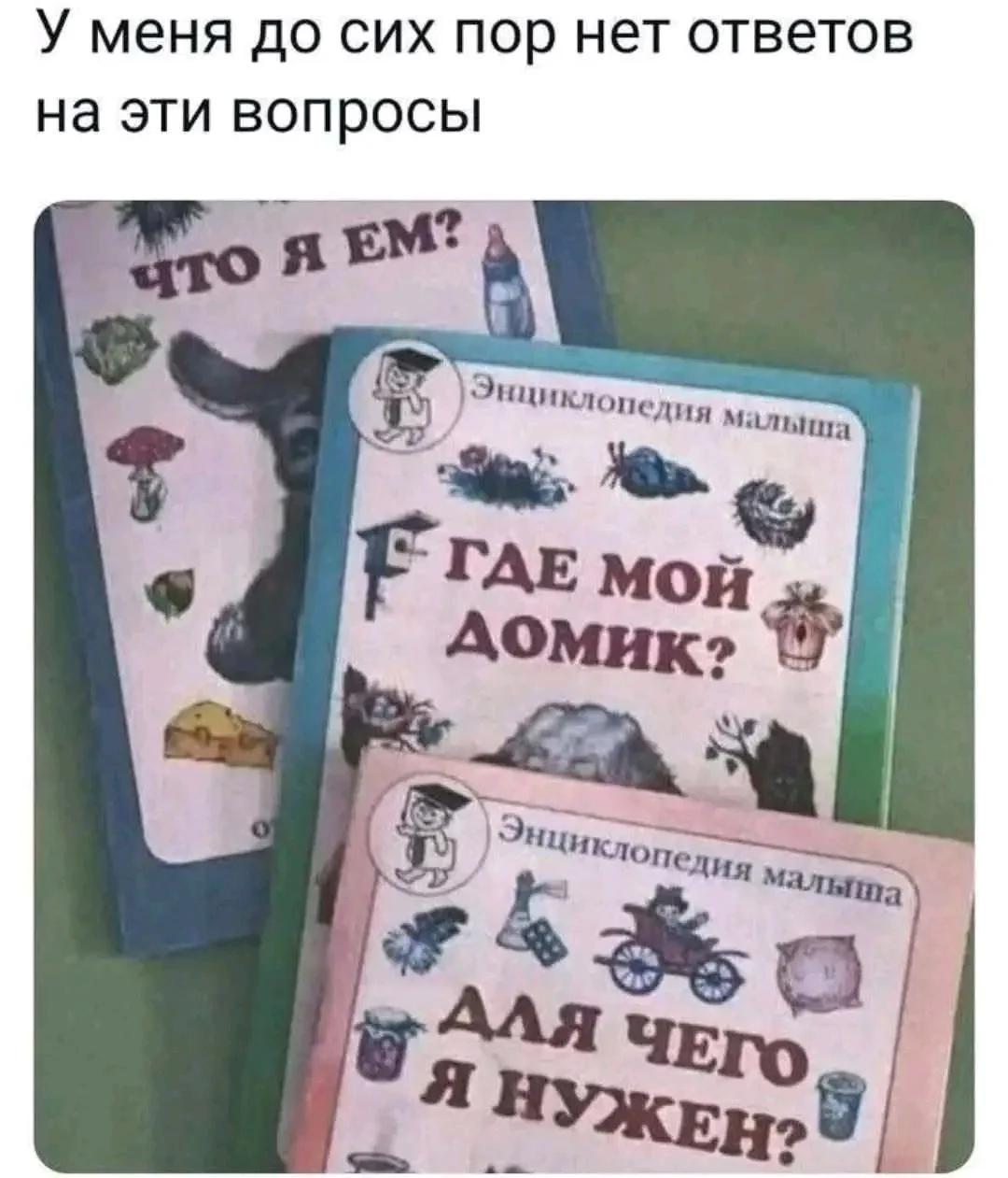 1000084360.webp