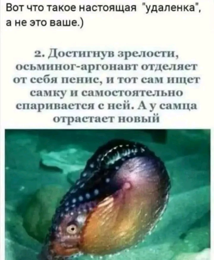 1000084361.webp
