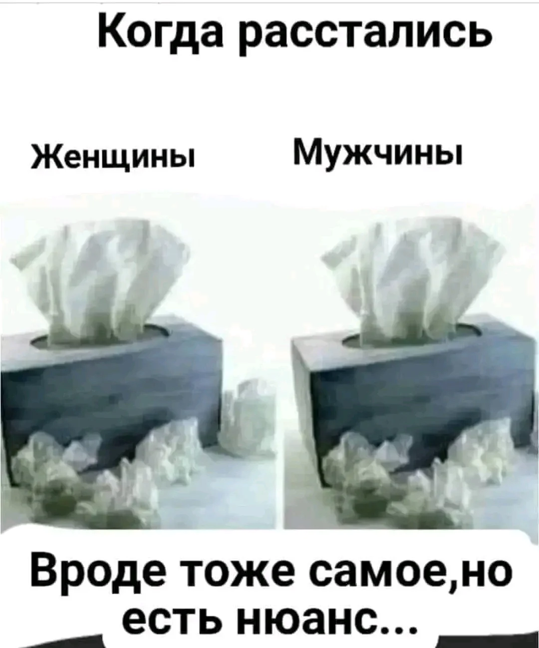 1000084400.webp