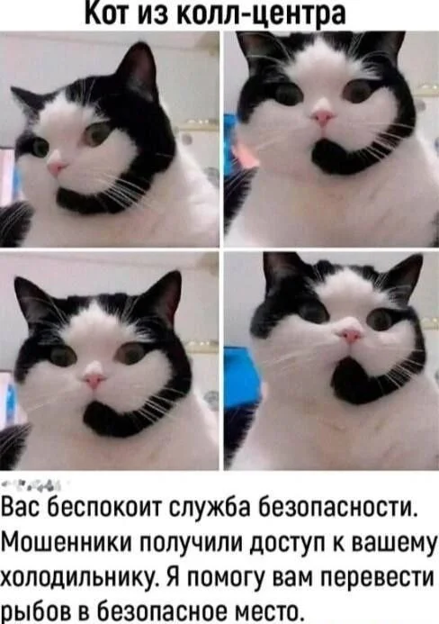 1000112921.webp