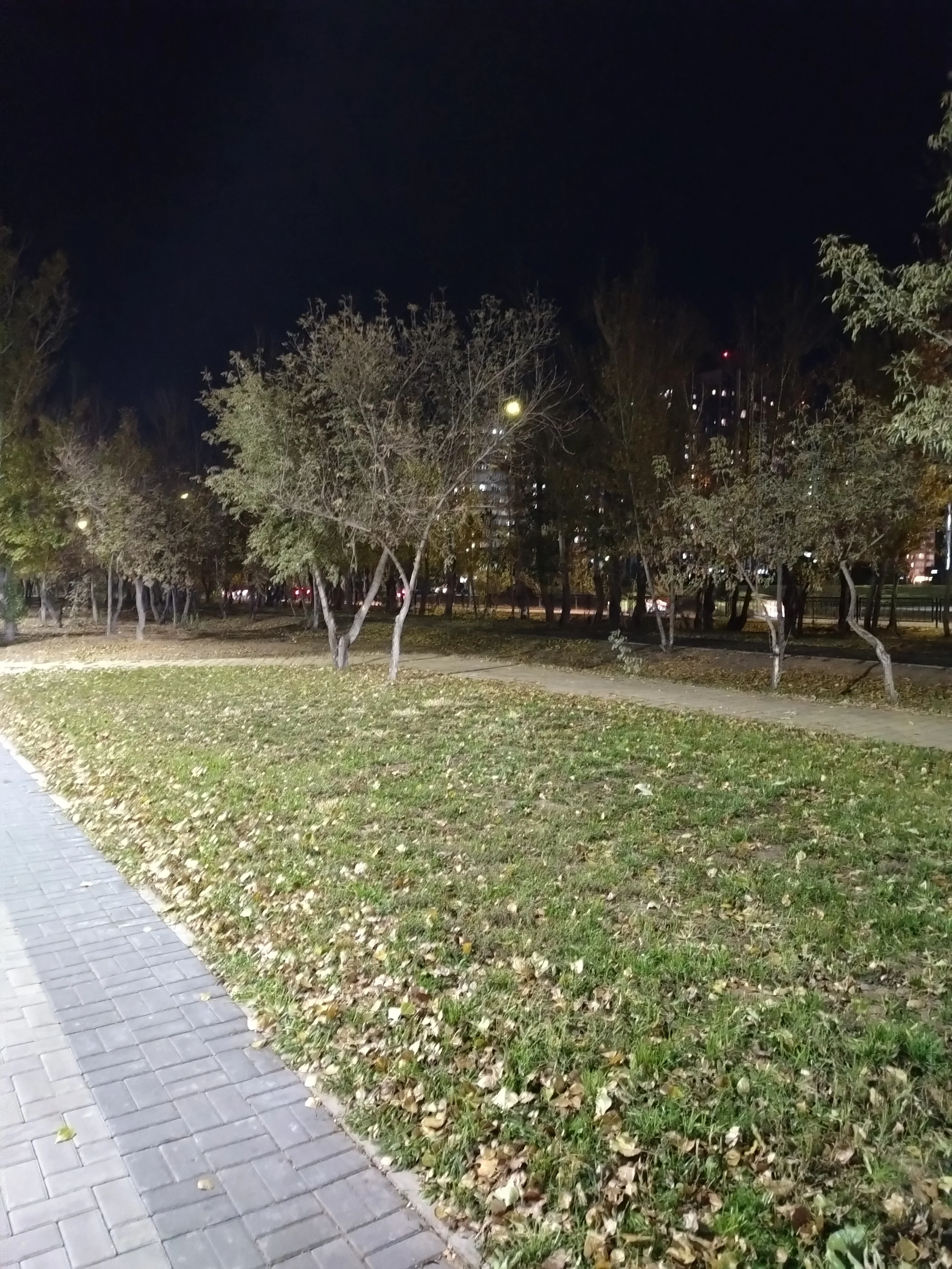 1000117379.webp