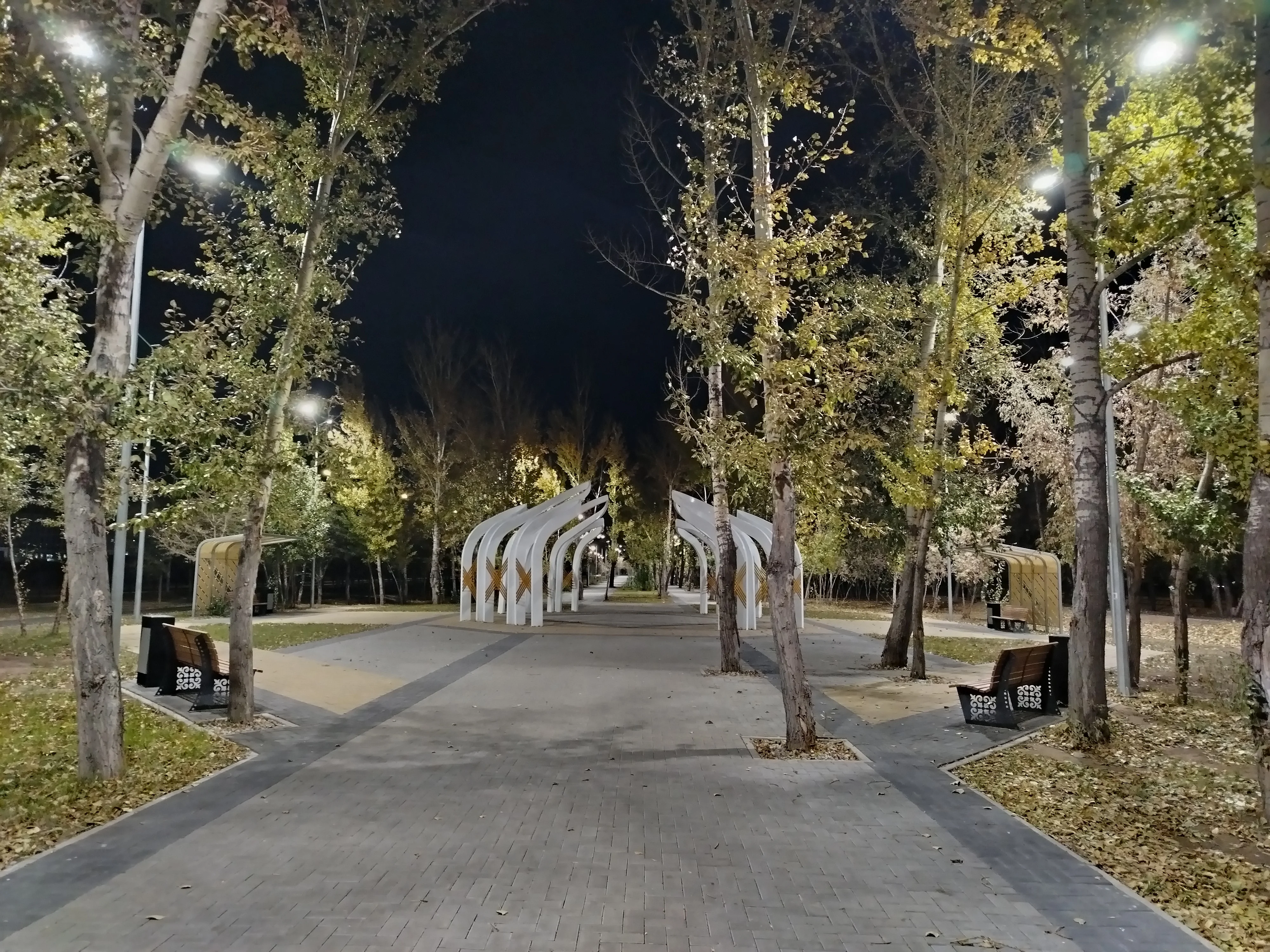 1000117380.webp