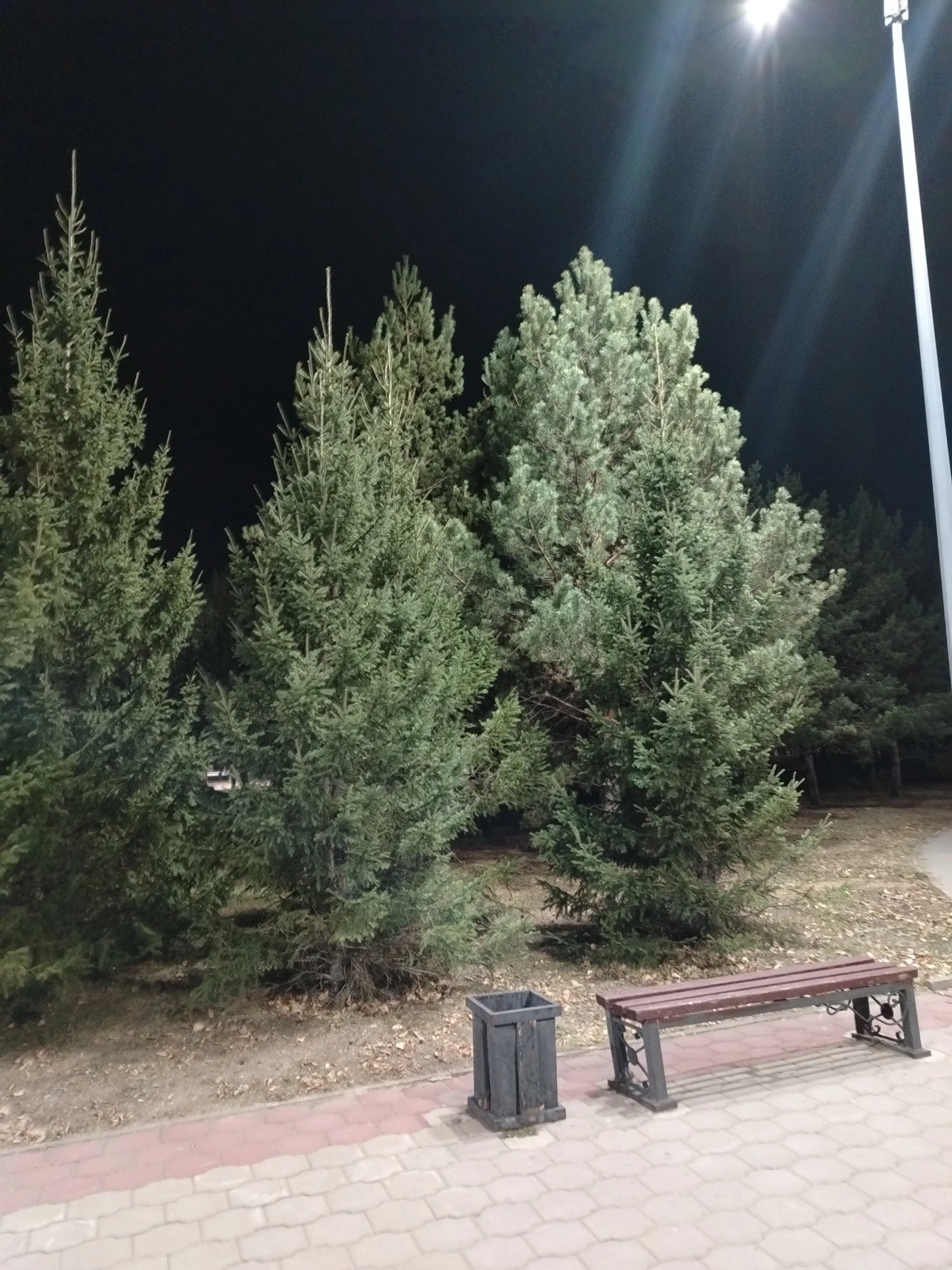 1000117388.webp