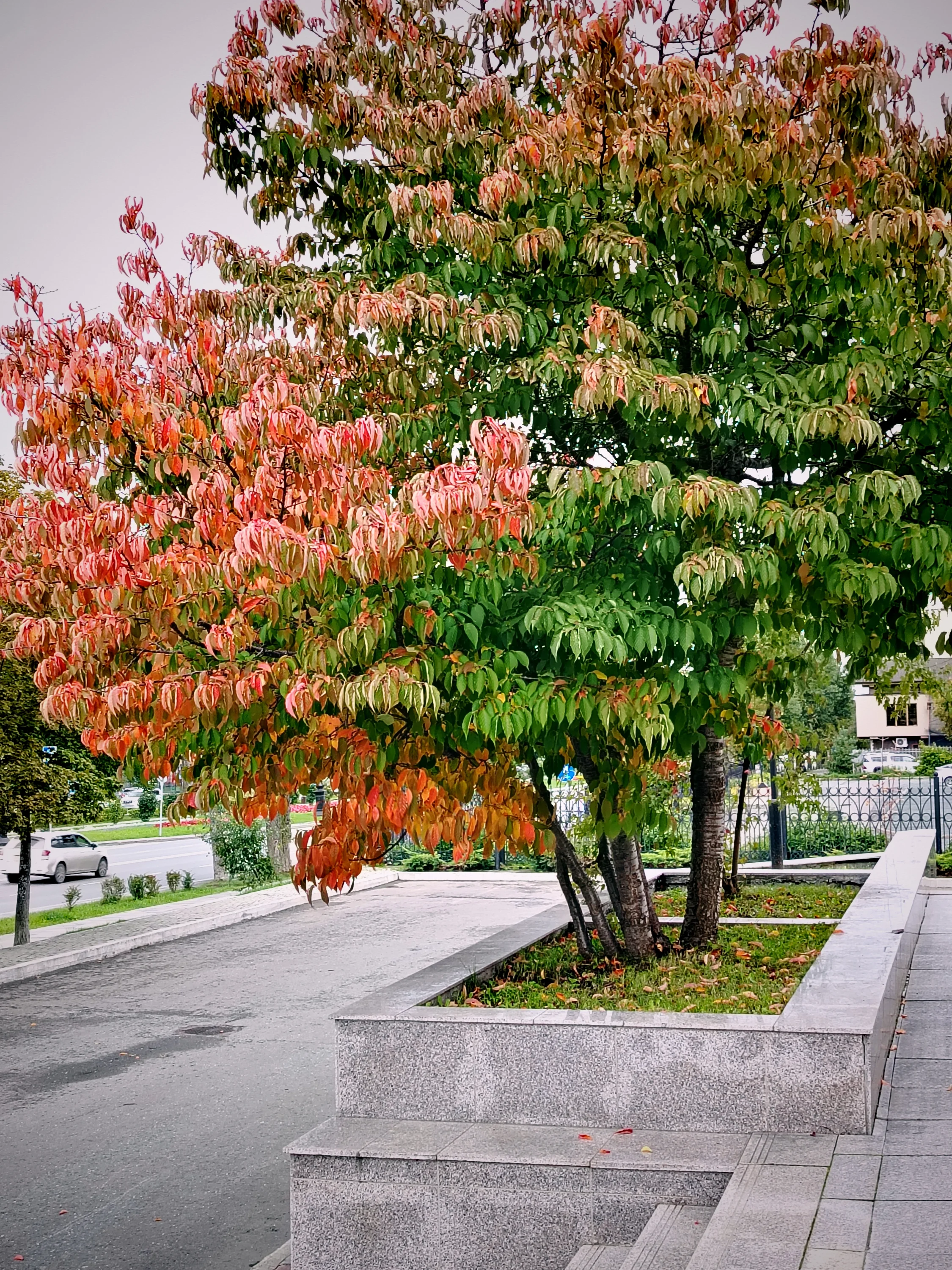 1000369565-webp.2221173