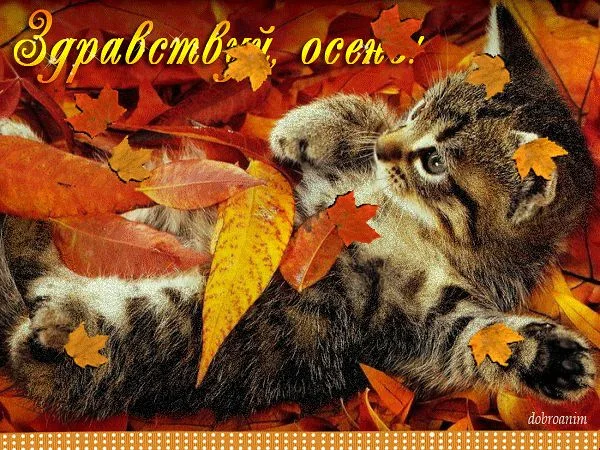 10006220.webp