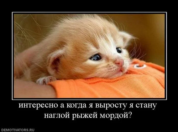 100883517_112.webp