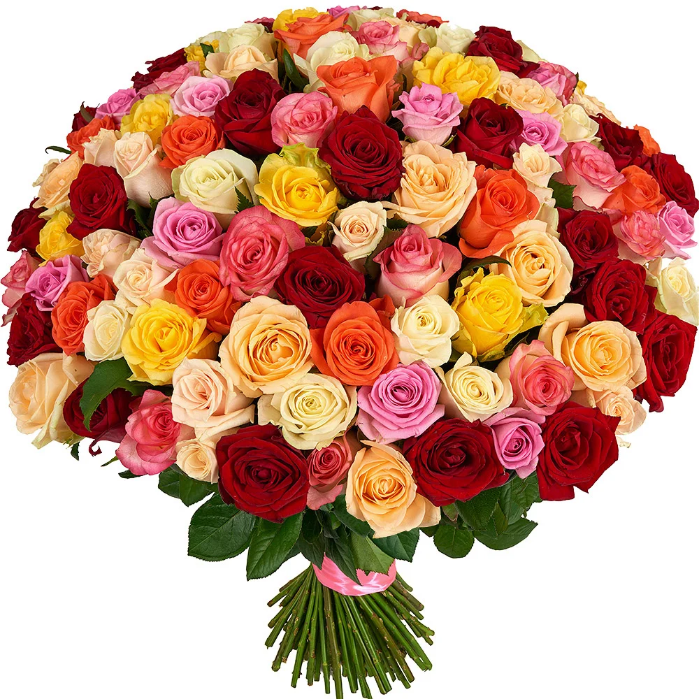101-colored-roses-1.webp