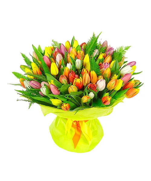 101-mix-tulpan.webp