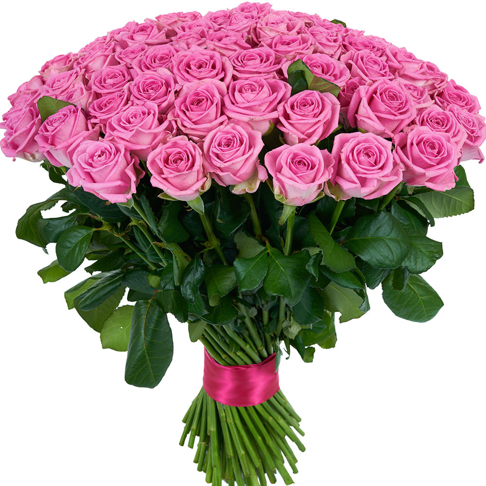 101-pink-roses-2.jpg