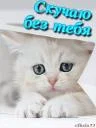 1011135.webp