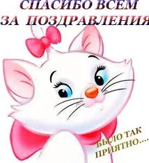 101940283_images.webp