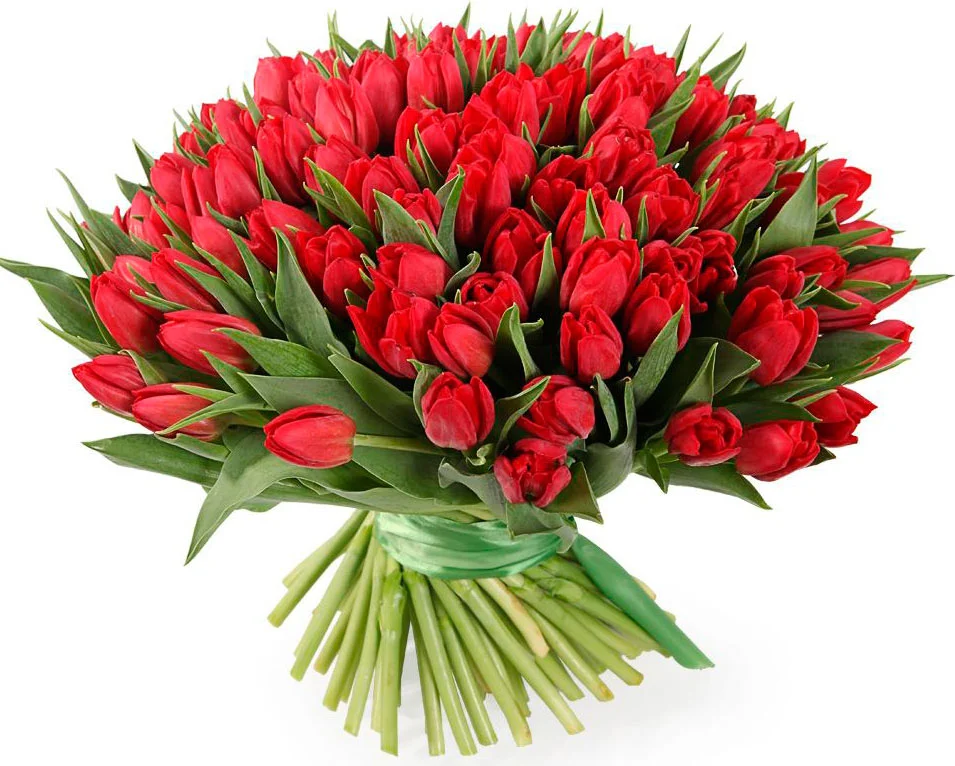 101_tulp_kras655565.webp