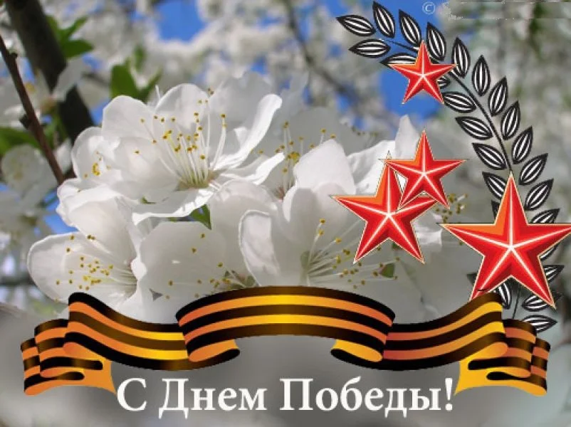 10254.webp