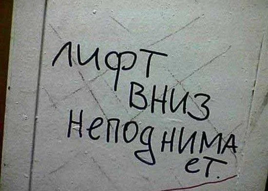 1033.webp