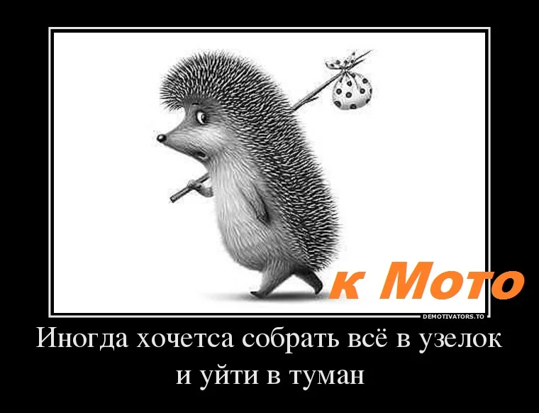 10359934_inogda-hochetsa-sobrat-vsyo-v-uzelok-i-upizdovat-v-tuman.webp