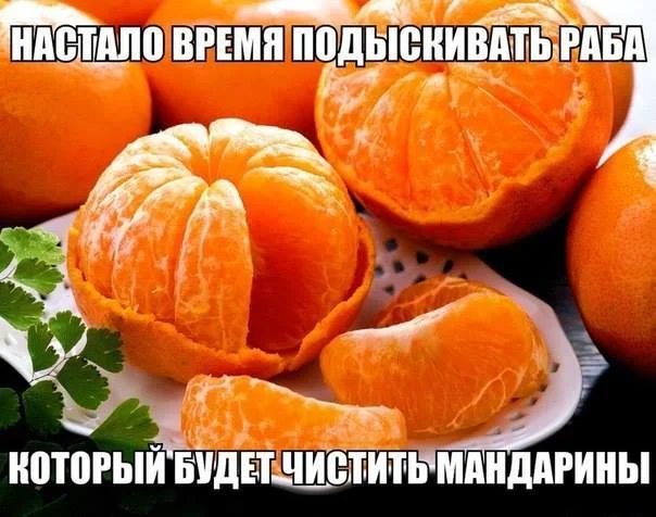 10408950_843775369008803_404663932826938081_n.webp