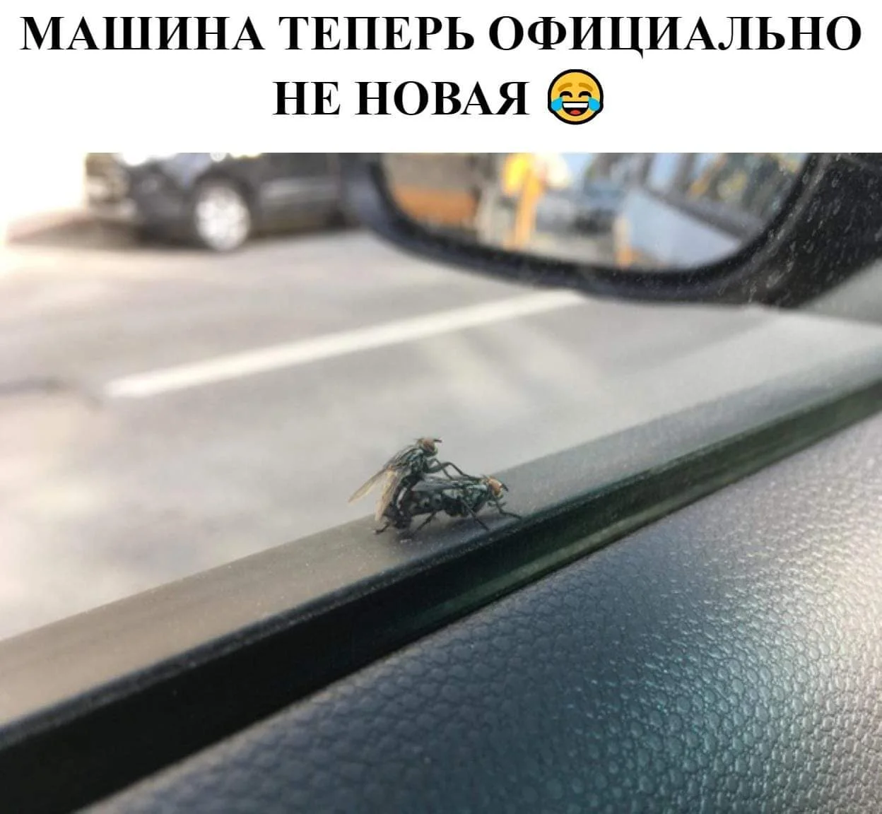 104245862_2721021778200179_6281644837837862907_o (1).webp