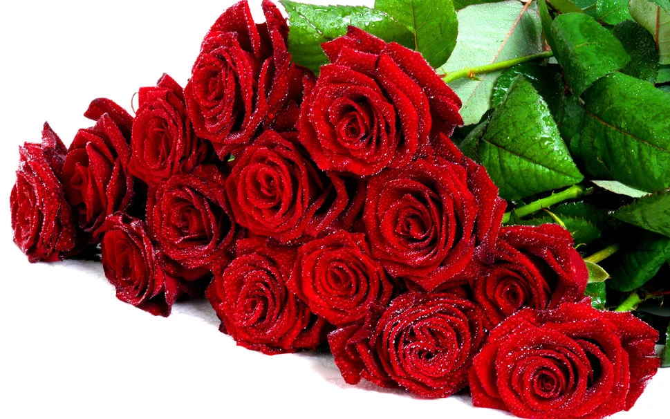 104696__nice-bouquet-of-red-flowers_p.webp
