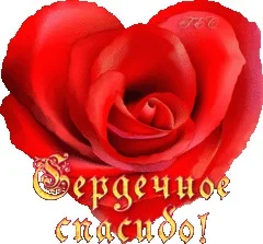 1052330_22253nothumb500.webp