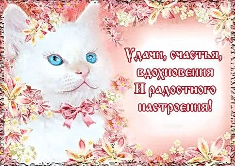 10709-otkritki-Otkritka-kartinka-zhelayu-udachi-udacha-ispolnenie-zhelaniy-kotenok.webp