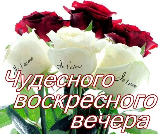 10762458.webp