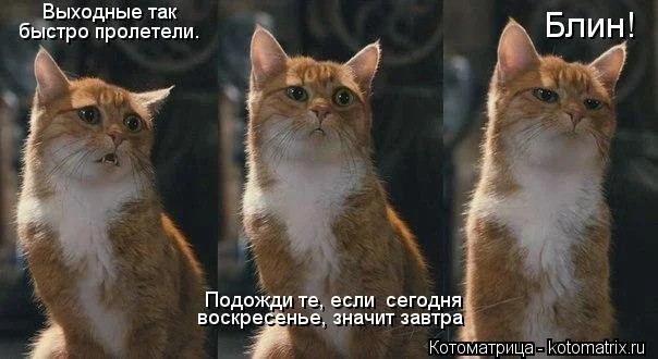 10762513.webp