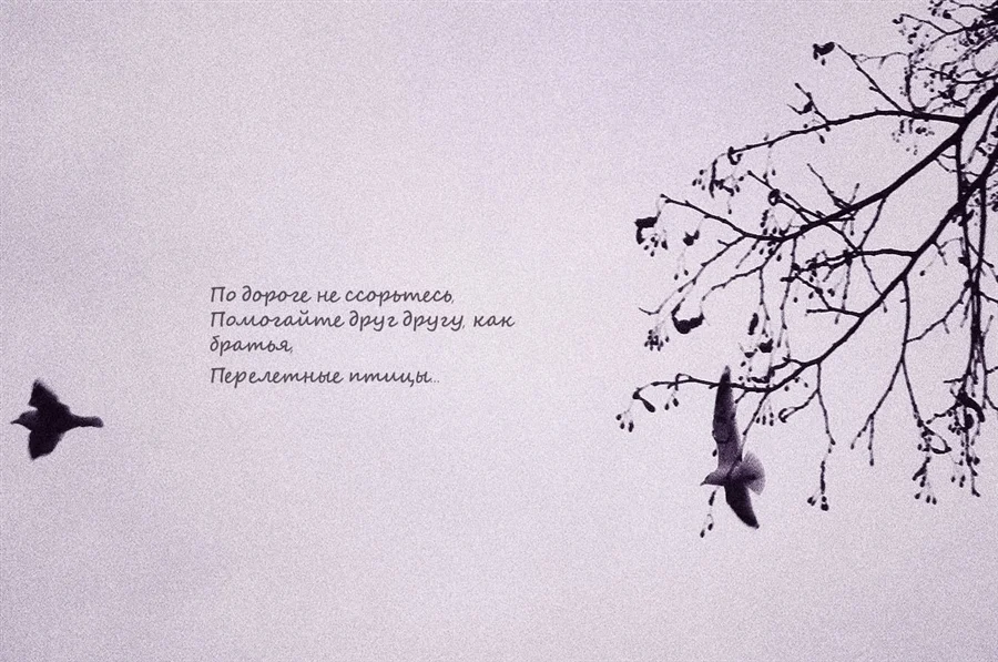 1081581.webp