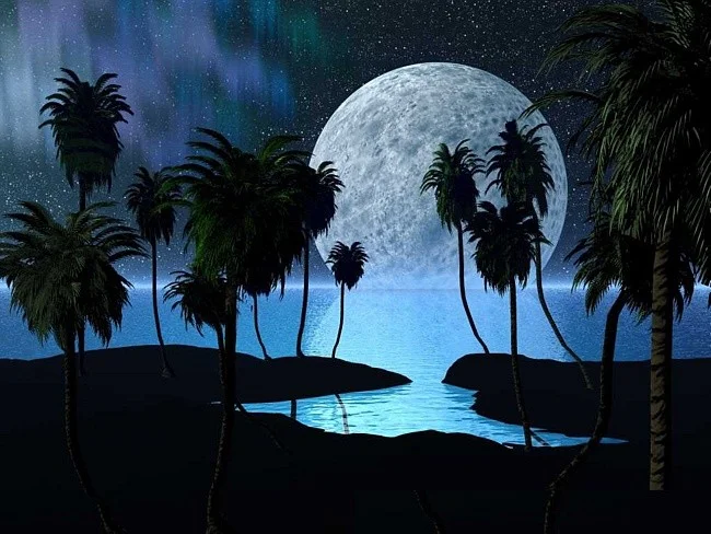 108254181_0810afb65199b19ca7ced6b10d526fb6.webp