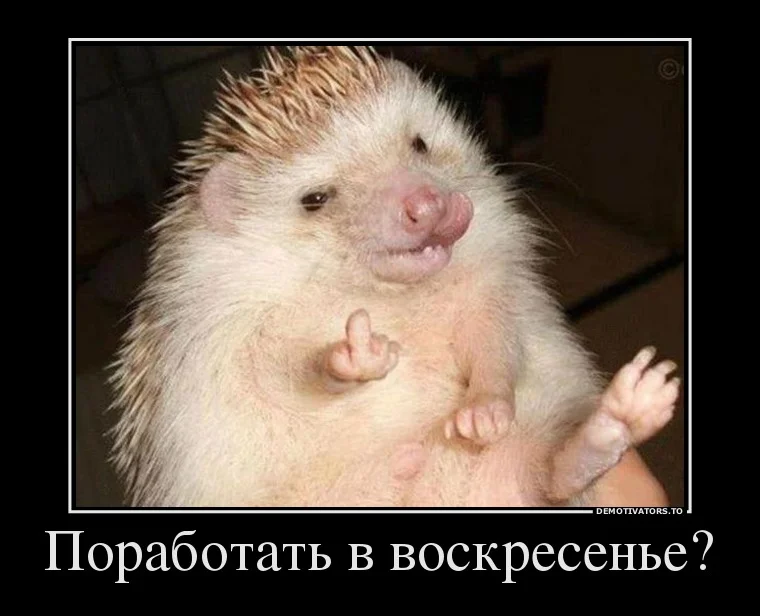 10847019_porabotat-v-voskresene.webp