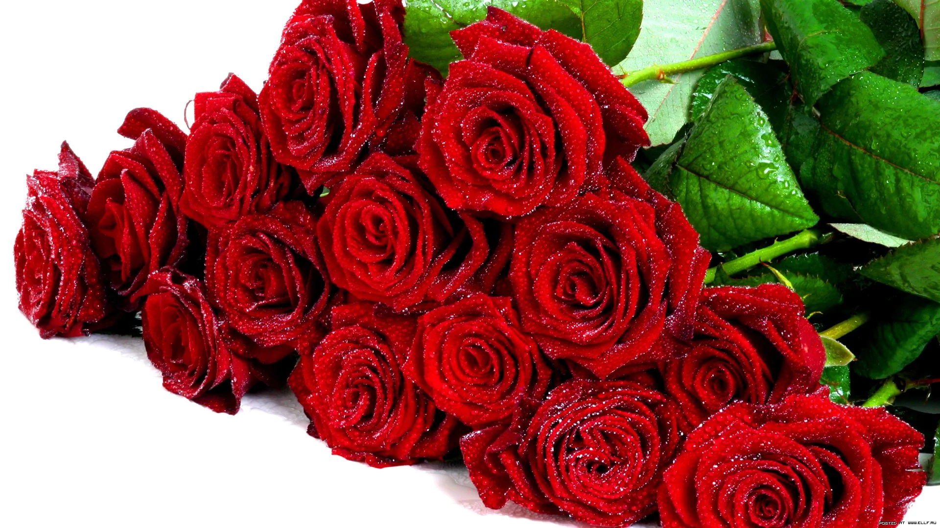 1099463.webp