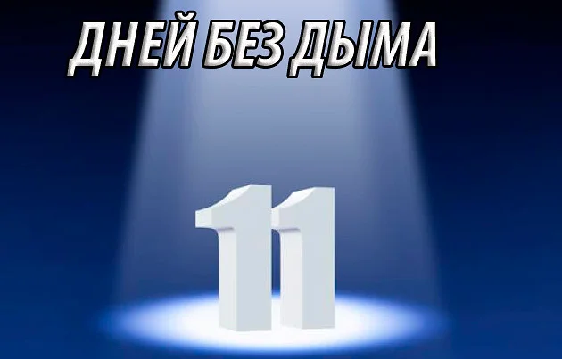 11 дей.webp
