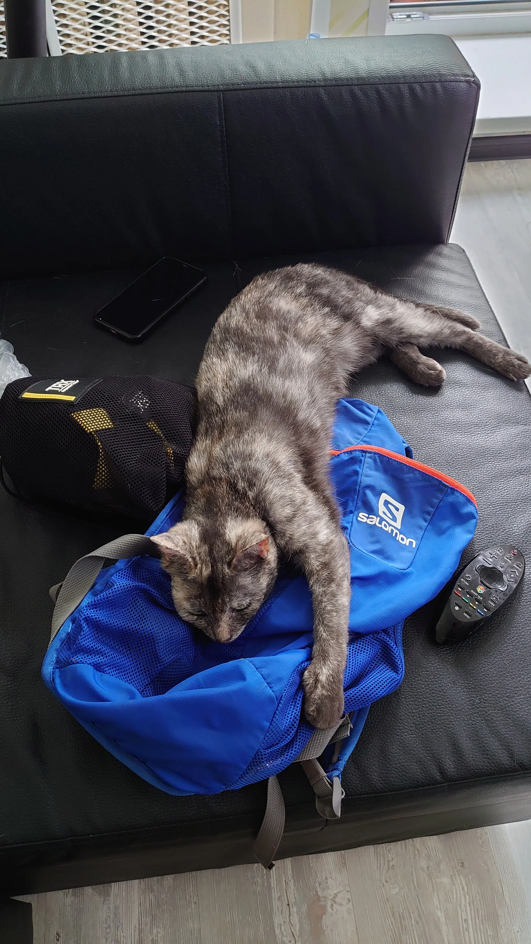 11. Говорят, что спортсменка.JPG