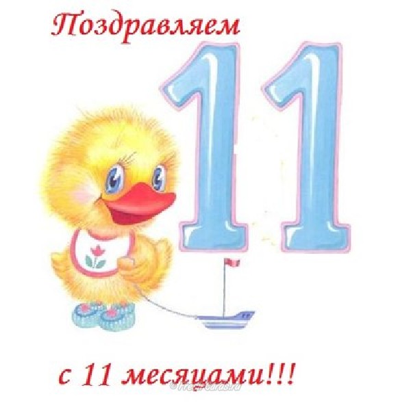 11 месяцев.jpg