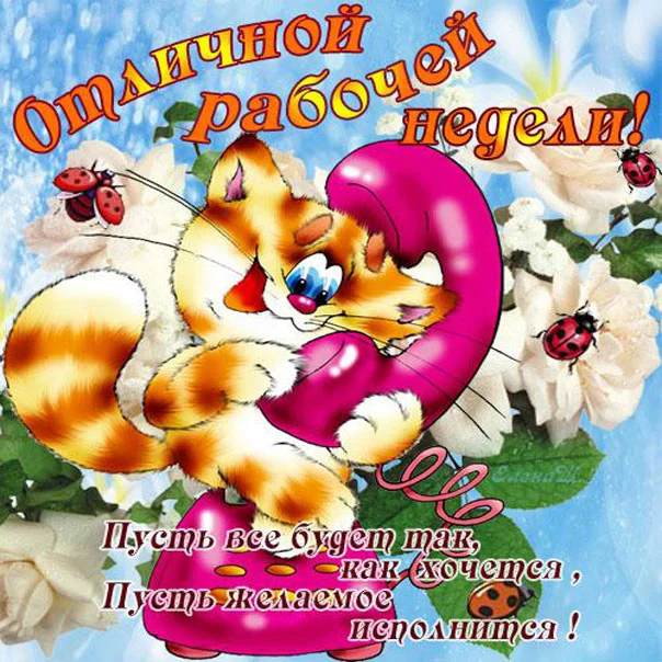 11-otlichnoy-rabochey-nedeli-prikolnaya-kartinka.webp