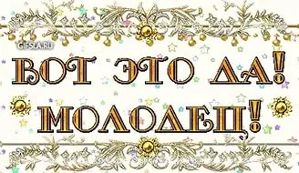11.webp