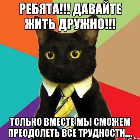110316-koshecka_22585742_orig_.webp