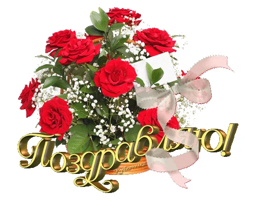 111.webp