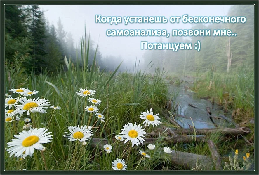 111.webp