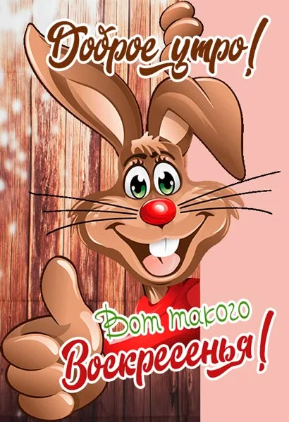 111.webp