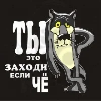 111.webp