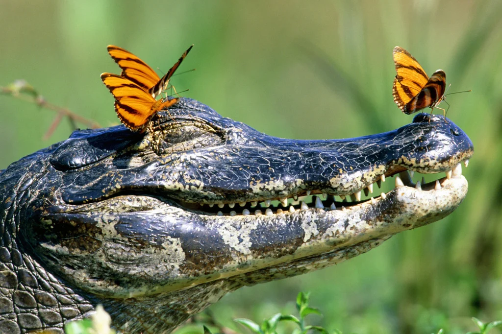 111108085633406012-1024x682.webp