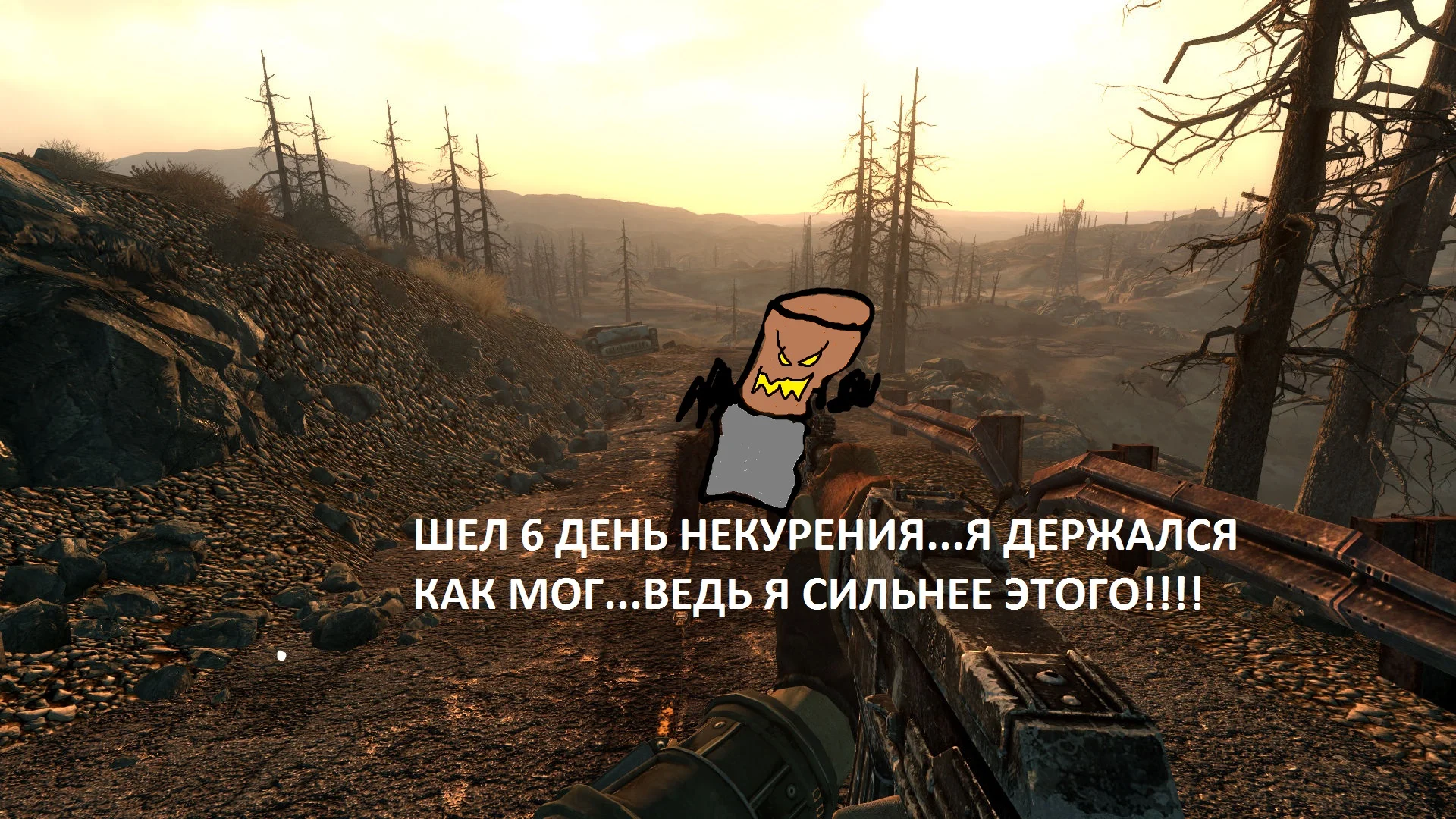 111111.webp
