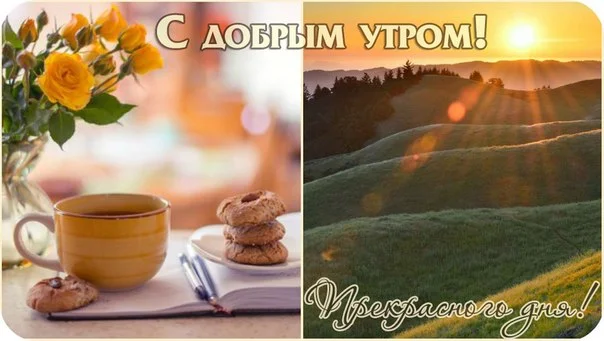 111572580_LnftNx5kCEo.webp