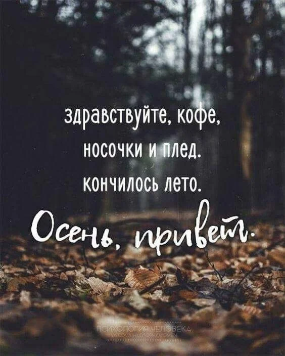 11186d17edc9b12f819575be9bb25d66.webp