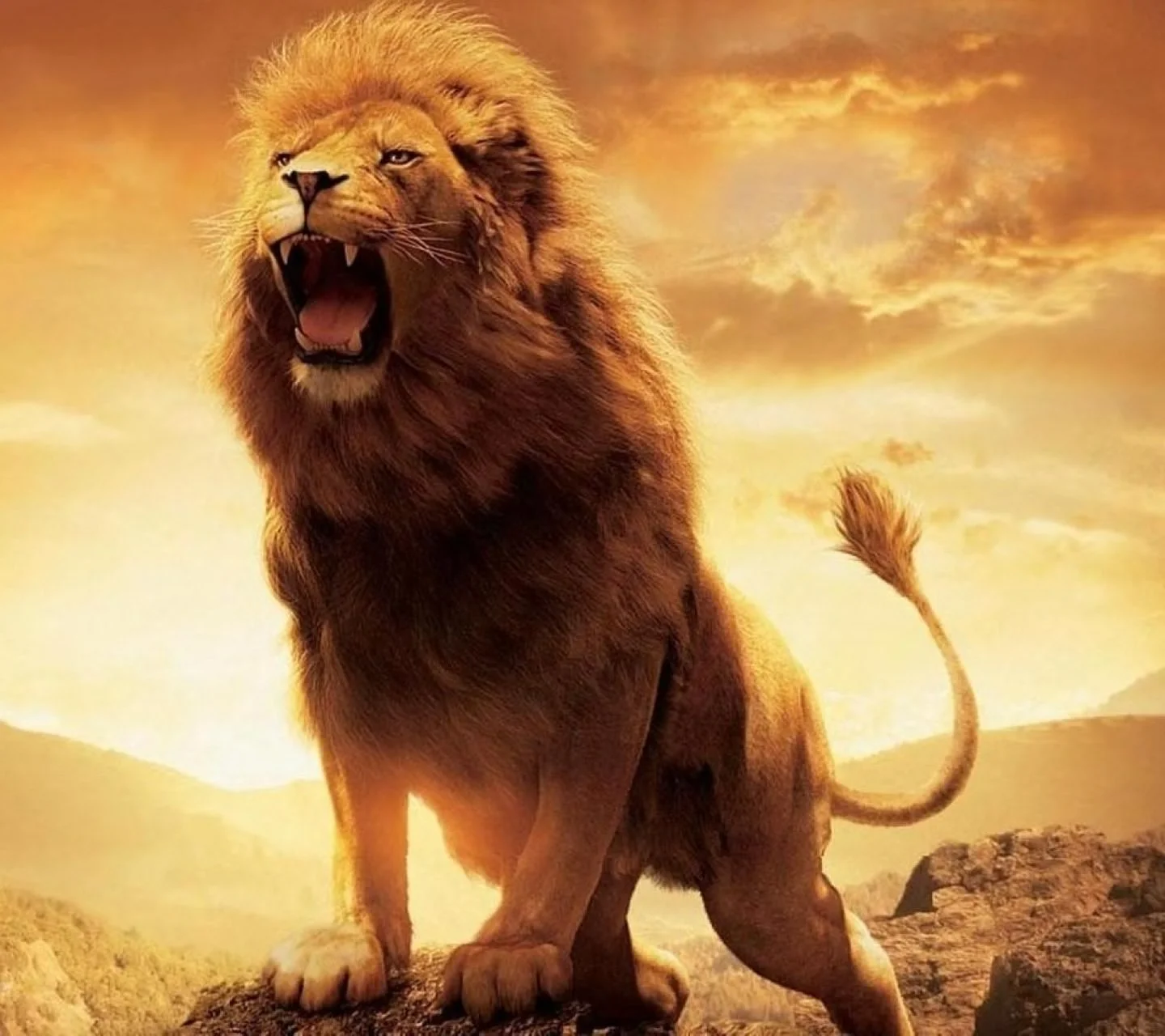 112284-lion-narnia-lion.webp
