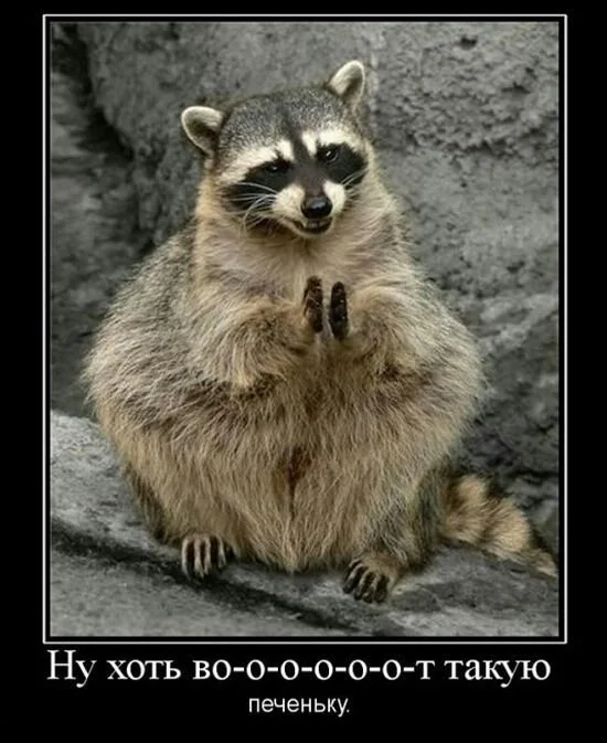 112e29u-960 (1).webp