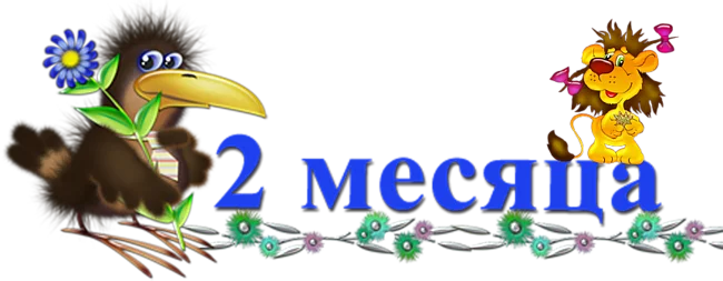 11313316.webp