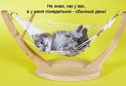 1142240545_00027991.webp