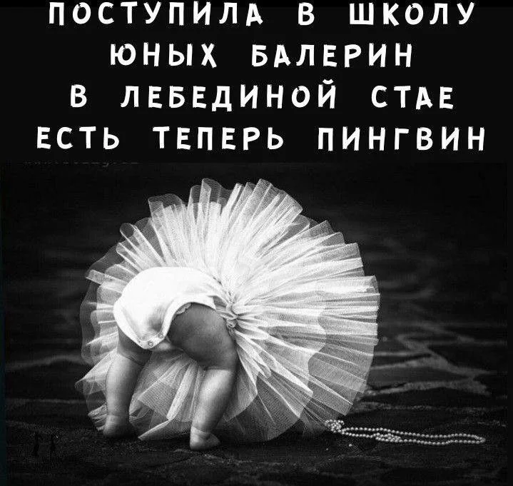 114802b9c1d4495b5c88860389527bdf[1].webp