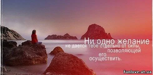 116157527.webp